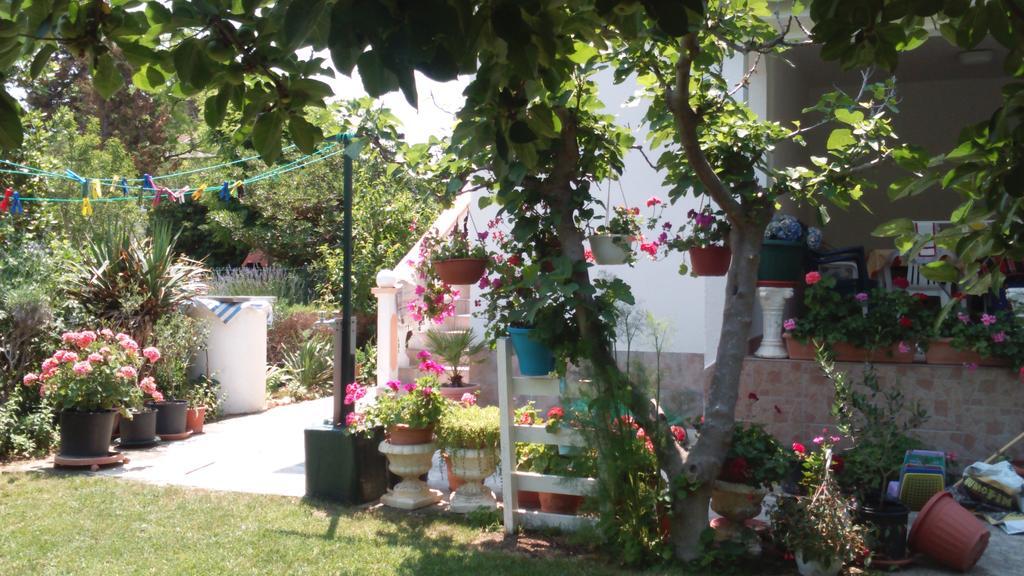 Apartments Romantica Sabunike Privlaka  Esterno foto